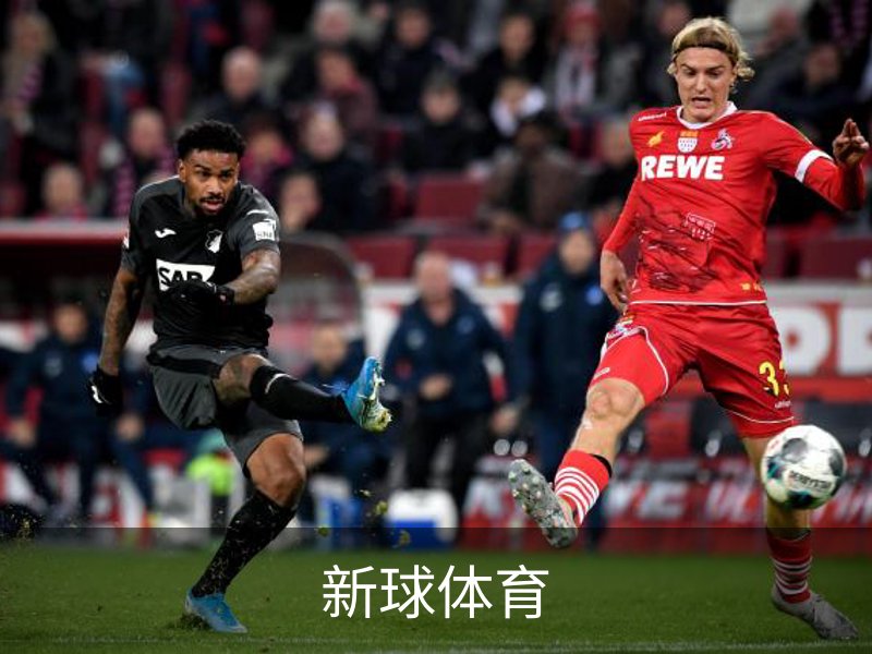 关于新球体育